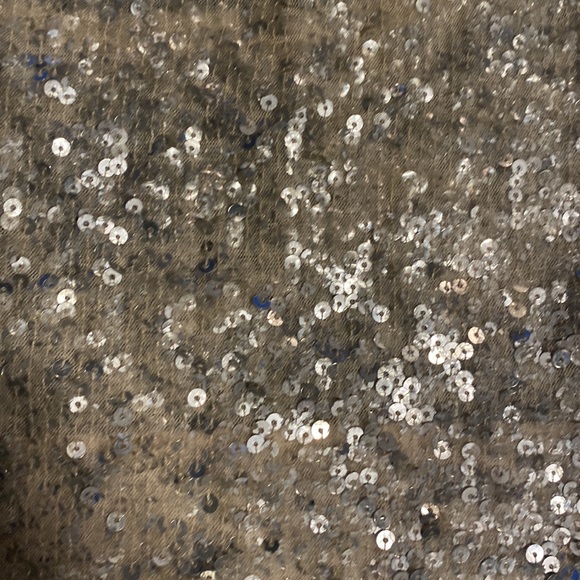 Maria Bonita extra, sequin top, silver sequins and rosè, size Small, tank top - Picture 6 of 6